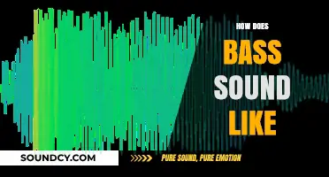 Understanding the Deep, Rich, and Vibrant World of Bass Sound