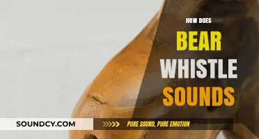 Understanding the Unique Sound of a Bear Whistle in the Wild