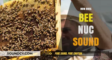 Exploring the Unique Buzz: What Does a Bee Nuc Sound Like?
