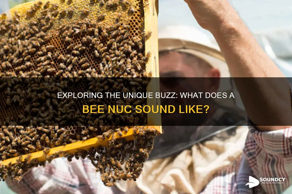 how does bee nuc sound