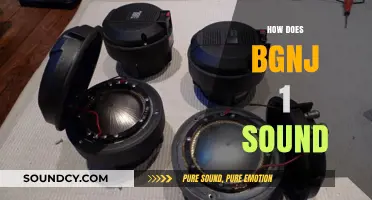 Exploring the Unique Sound of BGNJ 1: A Comprehensive Review