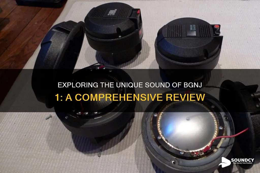 how does bgnj 1 sound