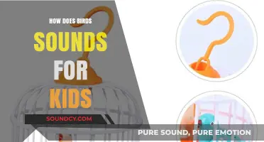 Discover the Amazing World of Bird Sounds for Curious Kids