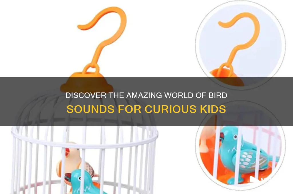 how does birds sounds for kids
