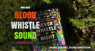 Unveiling the Mysterious Sound of Blood Whistling: Causes and Insights