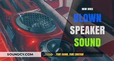 What Does a Blown Speaker Sound Like? Identifying the Distorted Audio