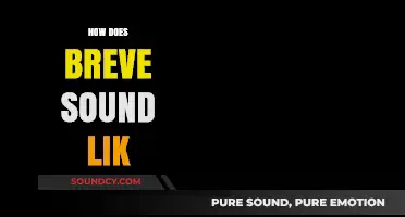 How the Breve Vowel Sound Resonates in Different Languages