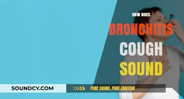 Identifying Bronchitis Cough: Sounds, Symptoms, and Treatment Options Explained