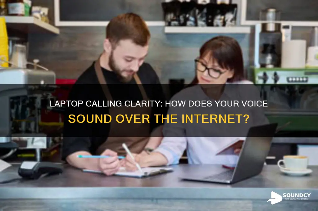 how does calling from laptop sound