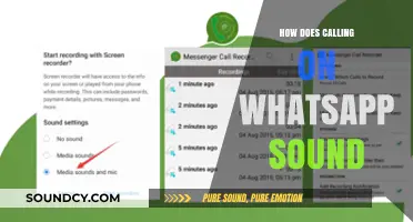 How Does Calling on WhatsApp Sound? A Comprehensive Review