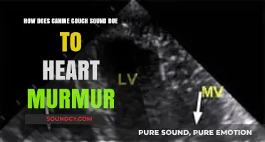 Understanding Canine Heart Murmurs: Causes, Symptoms, and Treatment Options