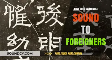 Cantonese to Foreign Ears: Unique Tones, Rhythms, and Impressions Explored