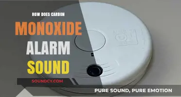 Carbon Monoxide Alarms: What's That Sound?