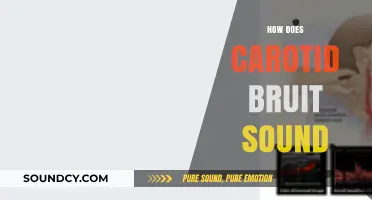 Understanding Carotid Bruit: What Does This Vascular Sound Indicate?