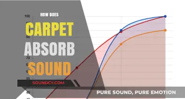 How Carpet Absorbs Sound: Enhancing Acoustic Comfort in Your Space