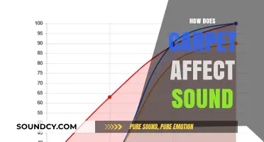 Carpet's Acoustic Impact: Enhancing Sound Absorption and Reducing Noise Levels