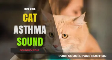 Understanding Cat Asthma: Identifying the Distinct Sounds of Feline Breathing