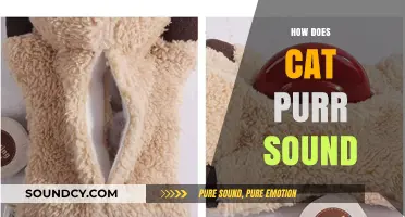 Understanding the Soothing and Mysterious Sound of a Cat's Purr