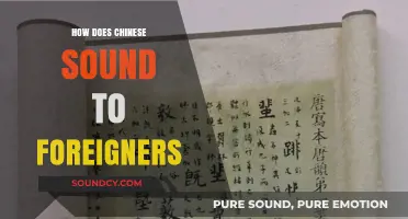 How Chinese Sounds to Foreign Ears: A Linguistic Exploration