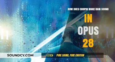 Chopin's Opus 28: Crafting the Melodic Sound of Rain