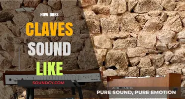 Exploring the Unique Rhythm and Tone of Claves: What Do They Sound Like?