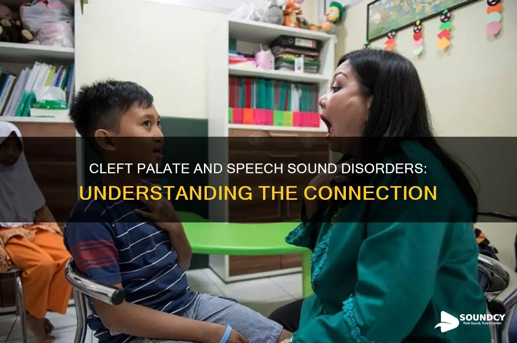 how does cleft palate relate to speech sound disorders