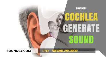 Unraveling the Cochlea's Role in Transforming Vibrations into Sound Perception