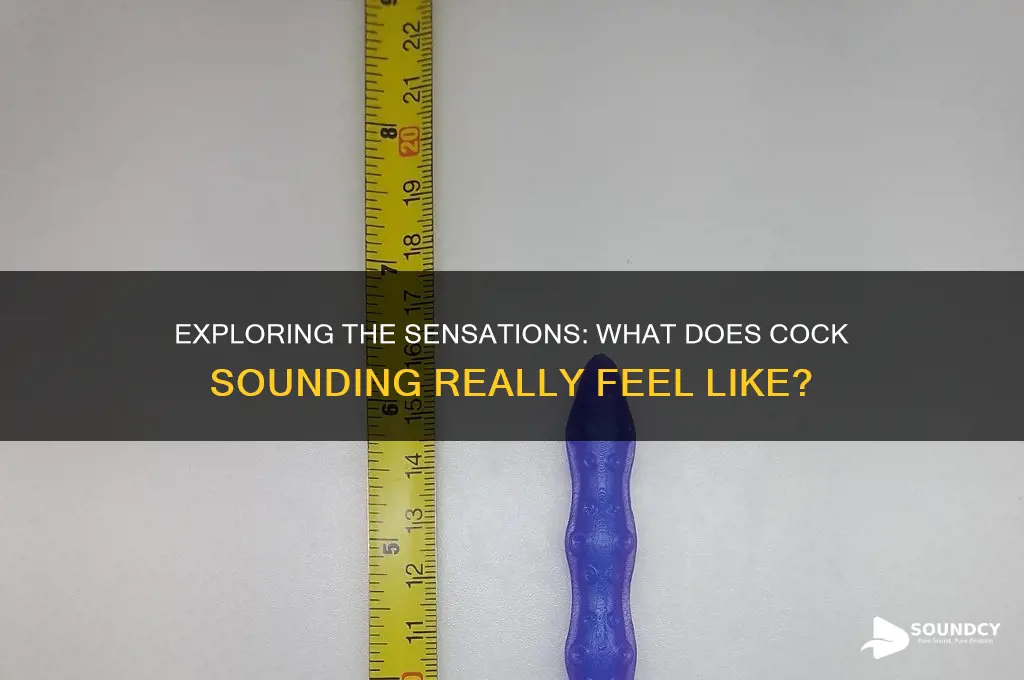 how does cock sounding feel
