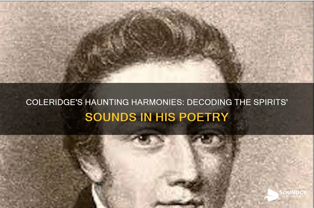 how does coleridge describe the sounds of the spirits