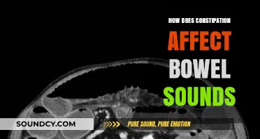 Constipation's Impact: Understanding Changes in Bowel Sounds and Digestion