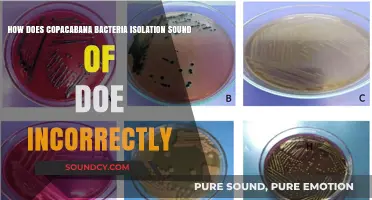 Unraveling Copacabana Bacteria Isolation: Correcting Misconceptions and Understanding Its Impact
