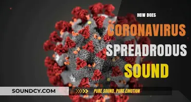 Understanding Coronavirus Transmission: How Sound and Air Spread the Virus