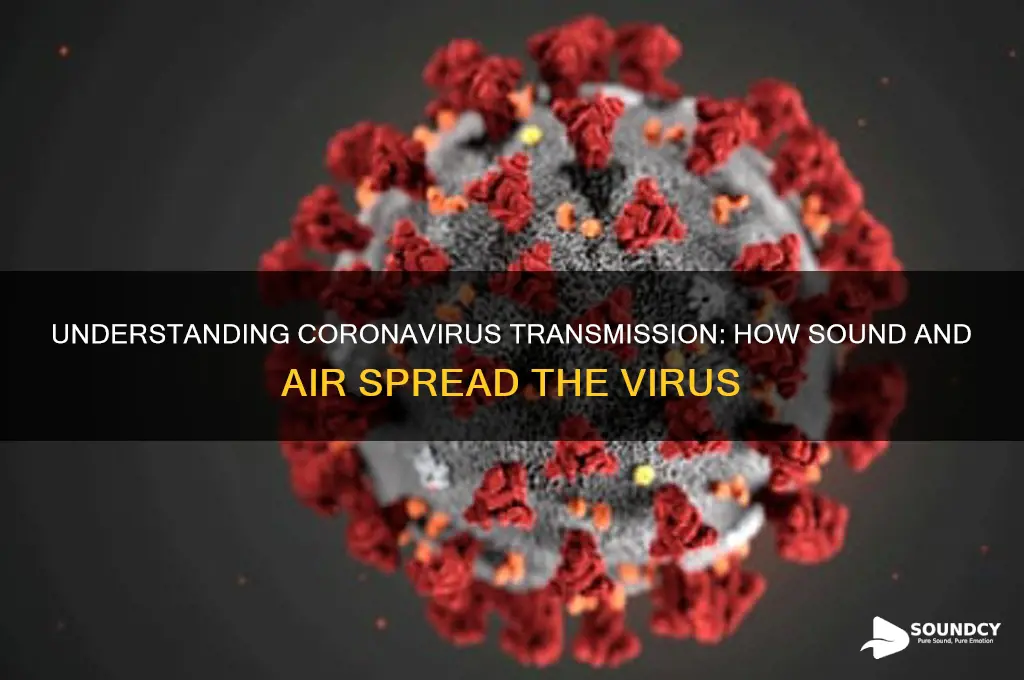how does coronavirus spreadroduse sound