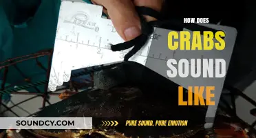 Unveiling the Unique Sounds: How Do Crabs Communicate in Nature?