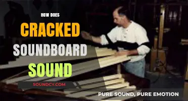 Exploring the Unique Audio Quality of a Cracked Soundboard