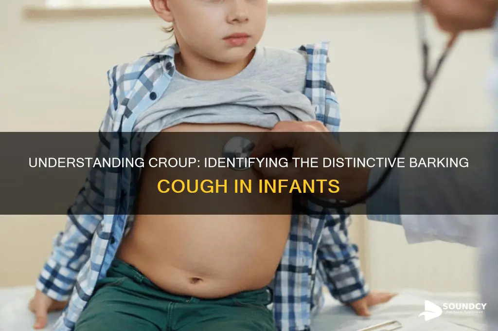 how does croup sound in infants