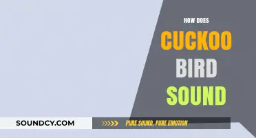 The Unique and Intriguing Sounds of the Cuckoo Bird Explained