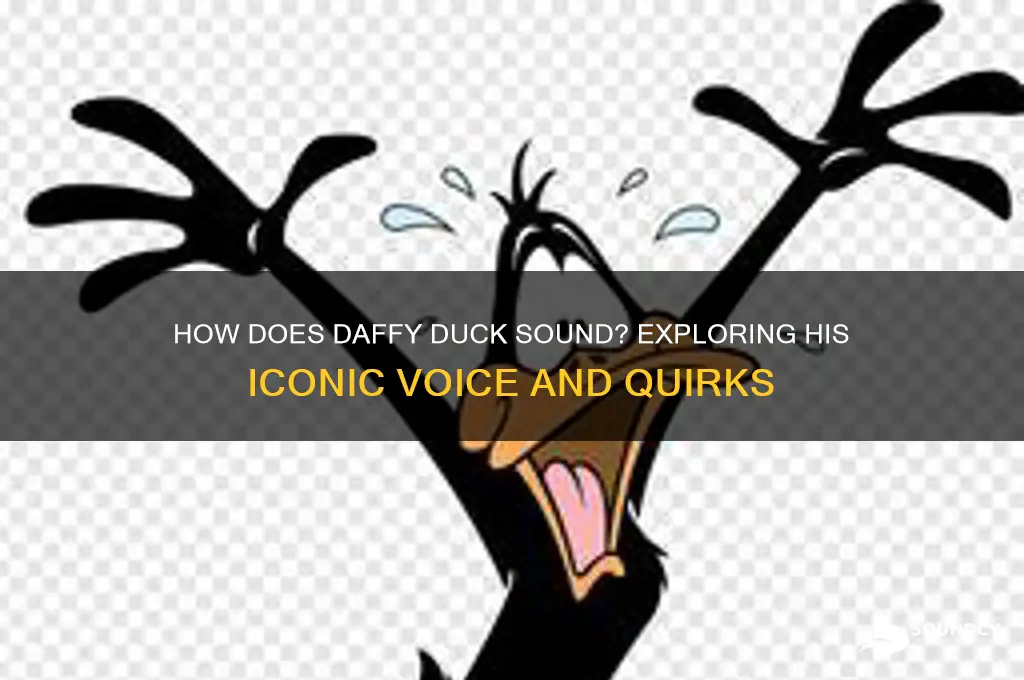 how does daffy duck sound