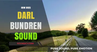 Unraveling Darl Bundren's Haunting Voice: A Faulknerian Character Study