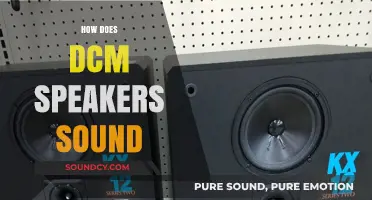 DCM Speakers Sound Quality: A Detailed Audio Experience Review