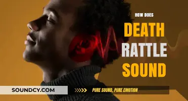 Understanding the Haunting Sound of the Death Rattle: What to Expect