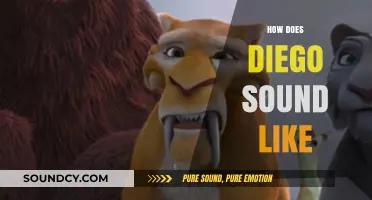Exploring Diego's Unique Voice: Tone, Accent, and Speech Patterns Revealed