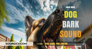 Understanding the Unique Sounds of a Dog's Bark: A Comprehensive Guide