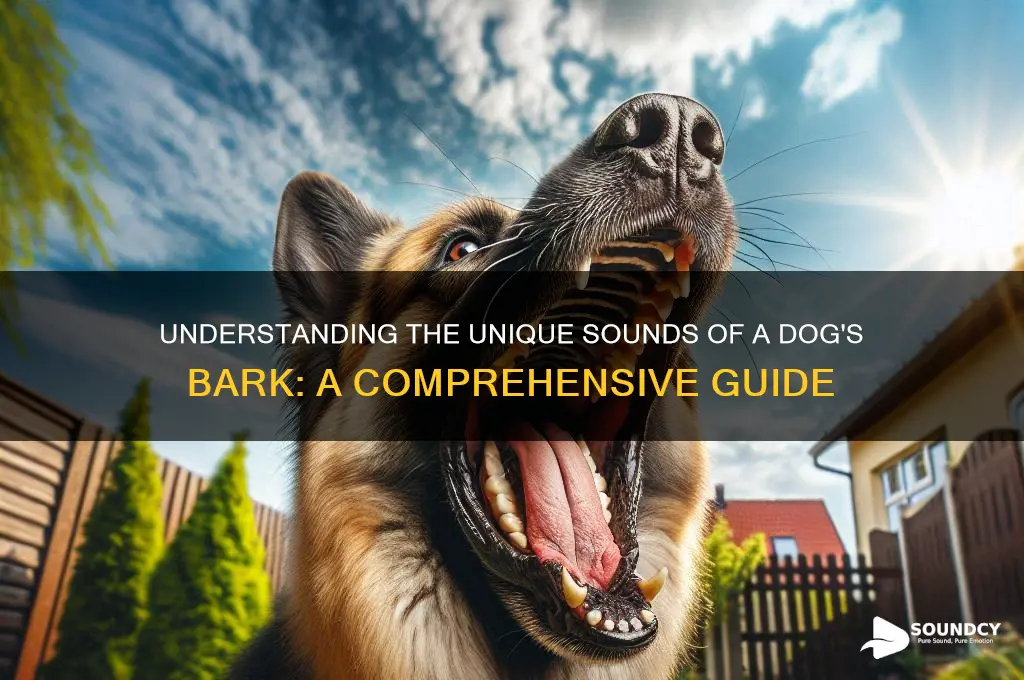 how does dog bark sound