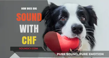 Understanding Your Dog's Cough: CHF Symptoms and Sounds Explained