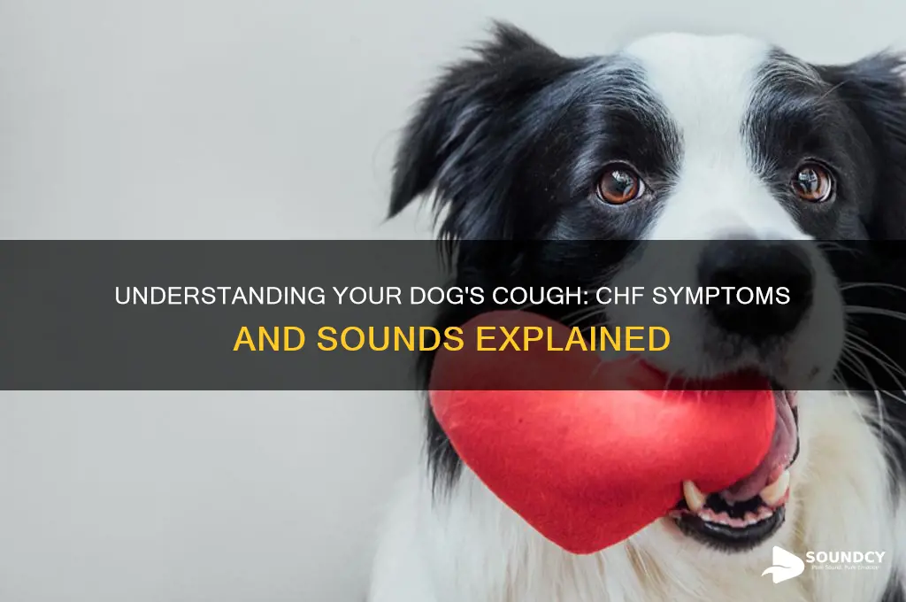 how does dog sound with chf