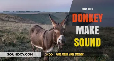 Understanding the Unique Vocalizations: How Does a Donkey Make Sound?