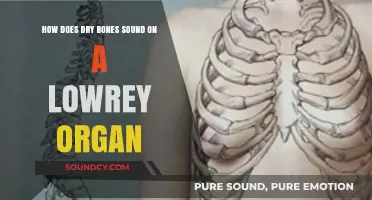 Dry Bones on Lowrey Organ: Unique Sound Exploration and Tips