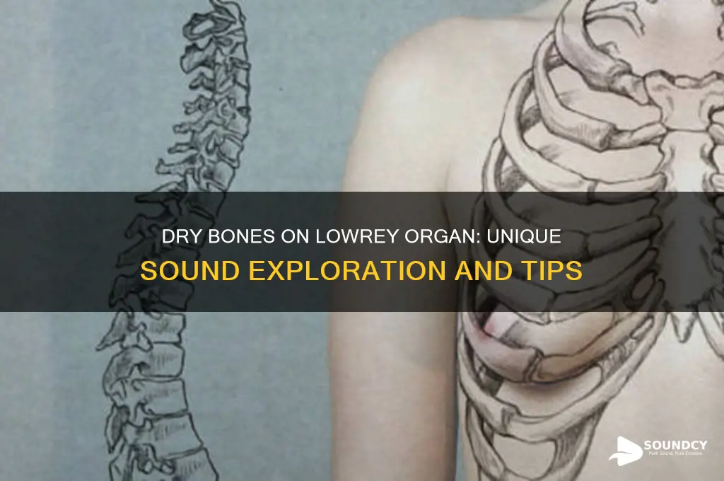 how does dry bones sound on a lowrey organ