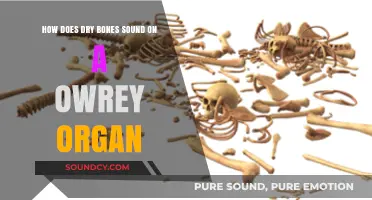 Dry Bones on the Owrey Organ: A Unique Musical Resonance
